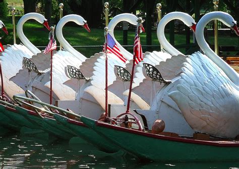 Swan Boats return to Boston
